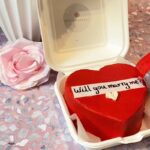 Bento cake message caché – Image 3